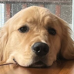 Meet your Posher, Ella